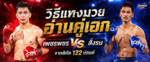 วิธีแทงมวย
