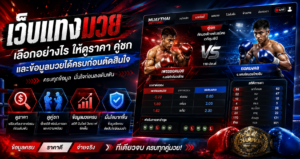 เว็บแทงมวยพร้อมข้อมูลราคา