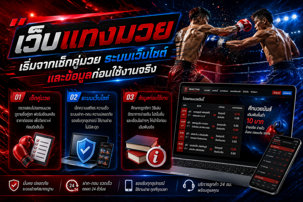เช็กข้อมูลระบบเว็บแทงมวย
