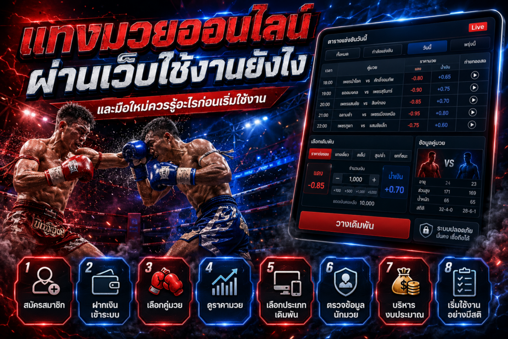 วิธีเข้าเว็บแทงมวยและตรวจสอบข้อมูล